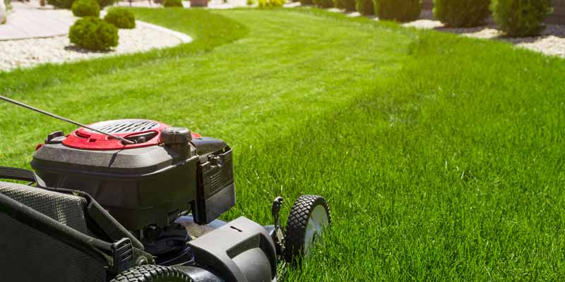 Commercial Grass Cutting Lawn Yard Maintenance Services Whitby Durham Region