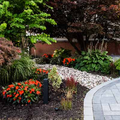 Plants Grass & Sod Companies