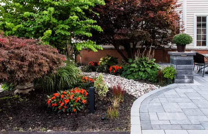 Plants Grass & Sod Companies