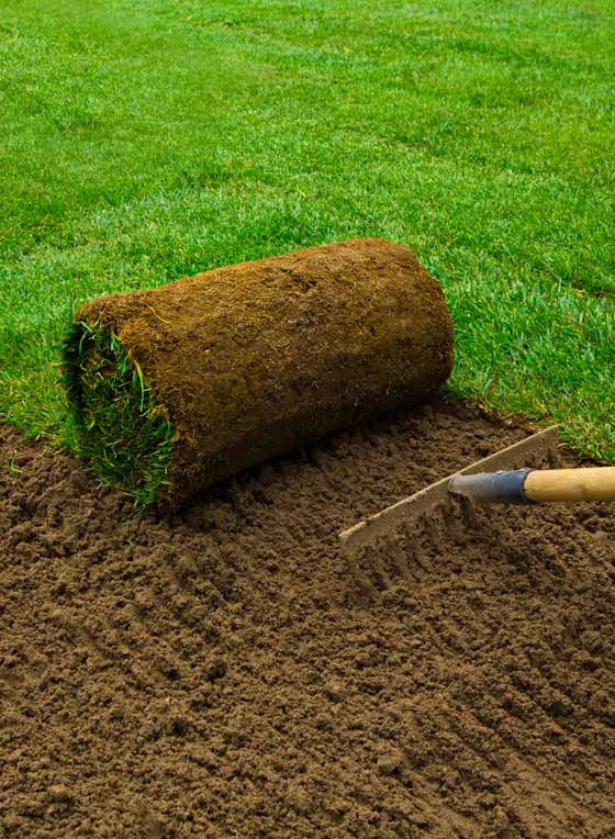 Best Residential Commercial New Sod & Grass Installation Services