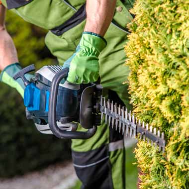 Commercial & Residential Hedge & Shrub Trimming Services Companies