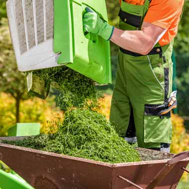 Residential & Commercial Spring & Fall Yard Cleanup Services Companies