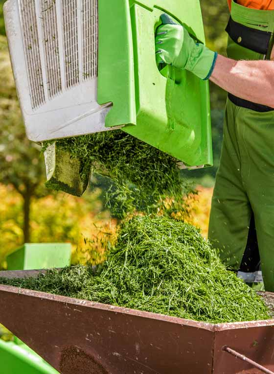 Residential & Commercial Spring & Fall Yard Cleanup Services Companies